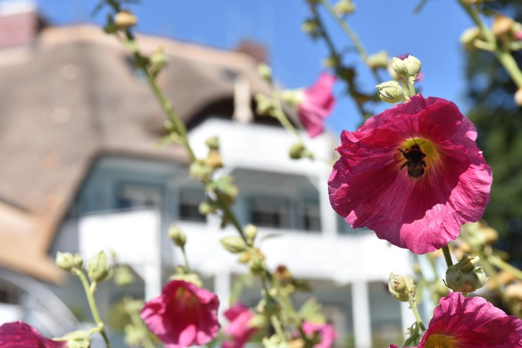 Romantik Hotel Fischerwiege Ahrenshoop Ngoại thất bức ảnh